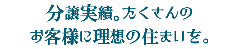 分譲実績。たくさんのお客様に理想の住まいを。