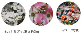 植栽計画