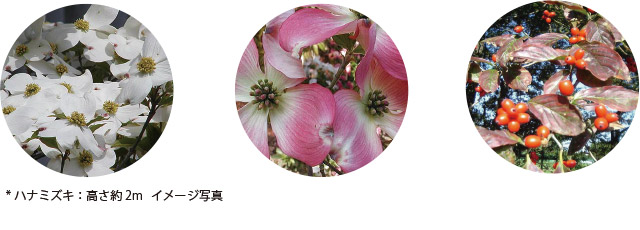 植栽計画